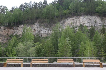four benches in the park against the background of a mountain and green trees