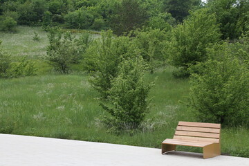 bench in the park against a background of green grass and trees