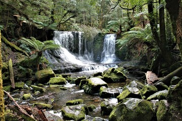 Fototapeta na wymiar Mount Field National Park, Tasmania