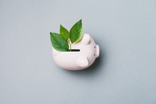 Piggy bank with green sprout growing, saving money, business growth, profit and success concept