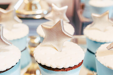 Chocolate cupcakes with white frosting and a big star, christmas birthday party