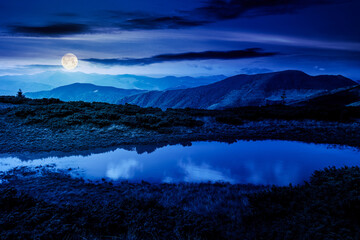 landscape with lake in summer at night. peaceful reflection in the water. beautiful travel view. tranquil nature background in full moon light. green outdoor scenery