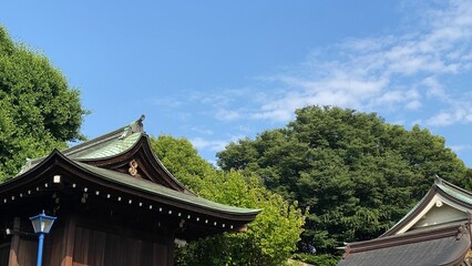 Fototapeta premium The green roof traditional shrine house of Japan, “Gojyoten Jinjya”, clear blue sky June 10th year 2022