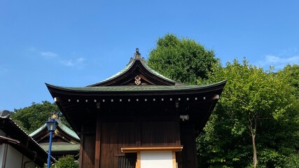 Fototapeta premium Clear blue sky and the beautiful aged Japanese shrine house on a clear blue sky sunny day, year 2022 June 10th