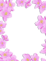 Vector apple blossom frame. Beautiful spring background illustration.