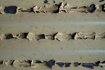 A closeup shot of paint coming off in peeled form from a metal sheet roof . uttarakhand North India.