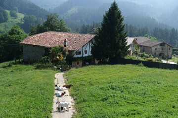 Houses and goates in the hills of Basque Country