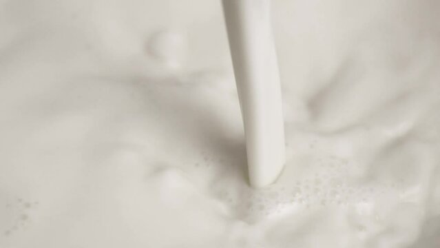 Close-up pouring milk.Healthy drink and food ingredients .
