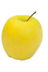 yellow apple on a white background. the concept of making apple juice. healthy food illustration. juicy sweet fruit on the table. big apple on a light texture.