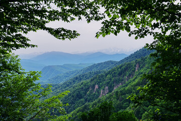 Fototapeta premium Mountains in the distance, Rocks and forested slopes framed by tree branches. selective focus