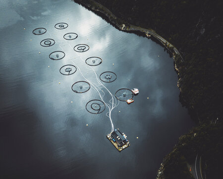 Aerial view of a salmon Fish farm, Norway.