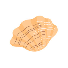 Snail sea shell. Marine underwater twisted seashell. Spiral shape. Undersea mollusc. Animal and wildlife. Flat vector illustration isolated on white background