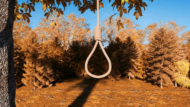A close-up view of a rope with a hangman's noose knot, swinging gently from a tree in autumn - seamless looping.