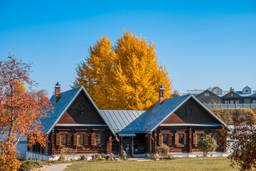 Traditional wooden house in a Russian village.