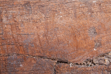 Old wood cracked and dust background texture.