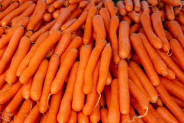 Carrots. Fresh organic carrots. Background texture of carrots.