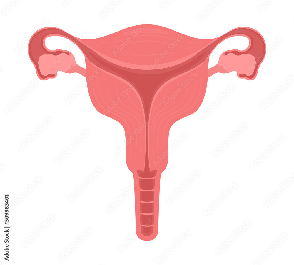 Poster female reproductive system semi flat color vector object. health of female organs. editable element.