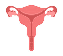 Female reproductive system semi flat color vector object. Health of female organs. Editable element. Full sized item on white. Simple cartoon style illustration for web graphic design and animation