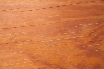 Naklejka premium Wood texture for background.