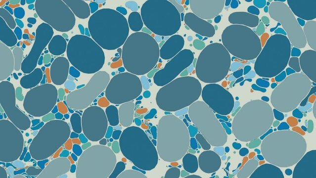 Embryonic stem cells colony under a microscope. Cellular therapy and research. Biology and medicine of human body concept. Professional 4K 3D Animation.