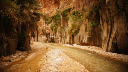 Desert Wadi Rum Petra Canyon Jordan Travelling