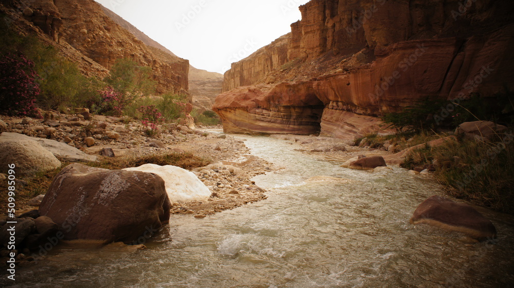 Wall mural Desert Wadi Rum Petra Canyon Jordan Travelling