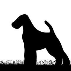 dog on the grass black silhouette on a white background