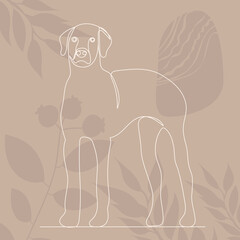 dog drawing by one continuous line, sketch