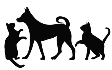 cats and dog silhouette on white background, isolated, vector