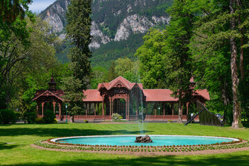 Fototapety na wymiar - Fototapeta24.pl