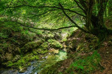 Mystic wilderness and breathtaking beauty of nature in Triglav National Park, Julian Alps, Slovenia