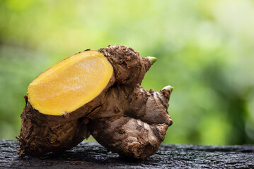 Zingiber montanum rhizome on nature background.