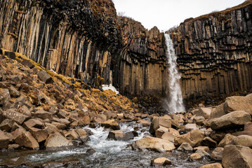 The famous Svartifoss waterfall, fed from Stórilækur river, in its basalt column gorge in...