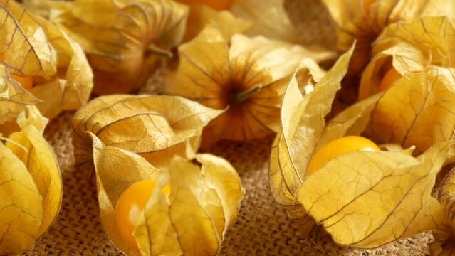 Sweet physalis berry on burlap.