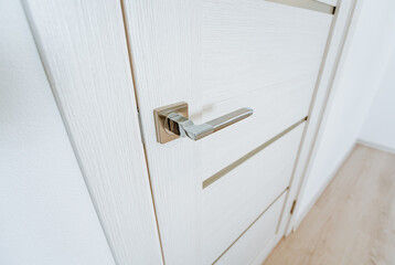 Closed door in the room, the door handle is shot close-up, there is no keyhole, steel handle, details of the interior of the house, interior decoration of the apartment.