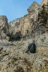 The Peninsula of Howth Head on a foggy day, the cliffs warped by fog, Dublin, Seashore of  cliffs, bays and rocks landscape, dangerouse cliffs, spectacular views in Ireland , Ireland