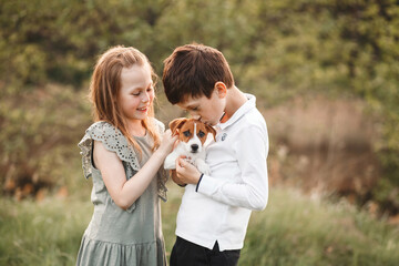 Happy kids boy and girl hugging jack russell terrier puppy while walking outdoors. Boy kissing a pet. Friendship, animal care