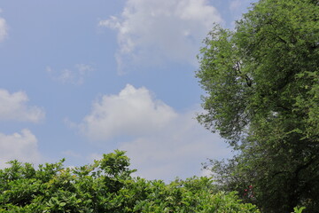 Blue sky with clouds - natural background 