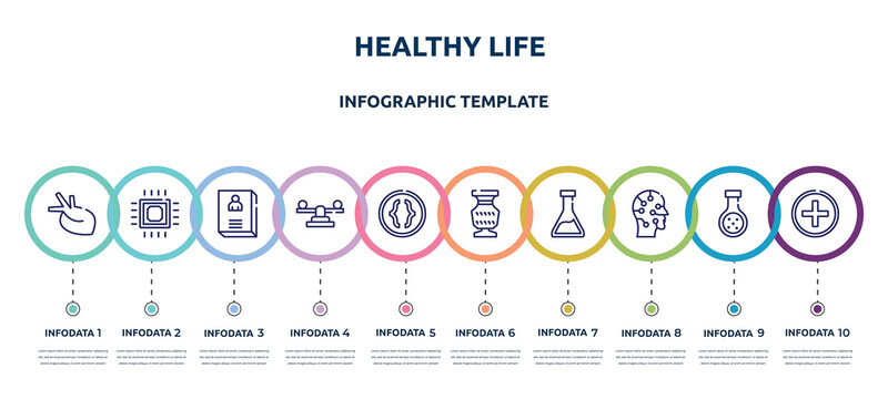 healthy life concept infographic design template. included organ, microprocessor, biography, balancer, parentheses, antique, erlenmeyer, artificial, hospital icons and 10 option or steps. - Powered by Adobe
