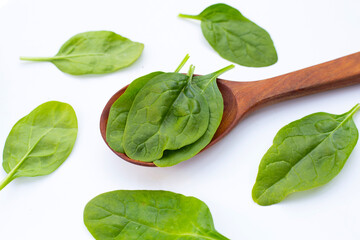 Spinach leaves. Extremely nutrient-rich vegetable