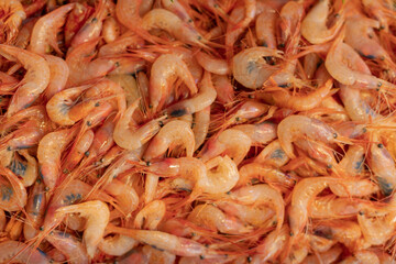 fresh shrimp on the counter of the store