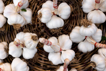 Garlic on the counter of the oriental bazaar