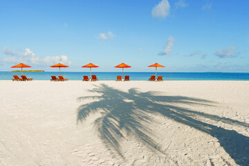 sun loungers on the beach with palm tree shadow on the sand