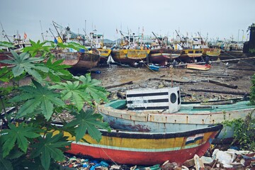 Fototapeta na wymiar boats on the shore 