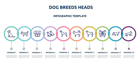 dog breeds heads concept infographic design template. included yorkshire terrier, jack russell terrier, dog moustache, dogs, greyhound, chihuahua, bullmastiff, leaf butterfly, bulterrier icons and - obrazy, fototapety, plakaty