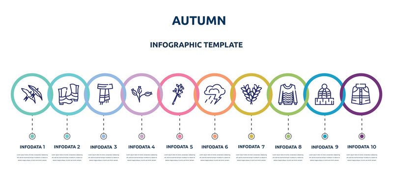 autumn concept infographic design template. included bird migration, rubber roots, scarf, rosa canina, tree branch, storm, rye, sweater, cloak icons and 10 option or steps.
