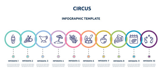 circus concept infographic design template. included suroard, grapes, gravy, sun umbrella, fern, bunny, coconut water, piece of cake, juggling icons and 10 option or steps.