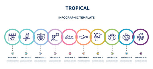 tropical concept infographic design template. included autumn, aw, conga, pictures, pickup truck, leg, coconut tree, pumpkin, monstera leaf icons and 10 option or steps.