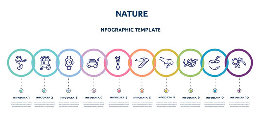 nature concept infographic design template. included beans, ice cream cart, wristwatch, lawn mower, onion, swiss army knife, otter, no smoking, geology icons and 10 option or steps.