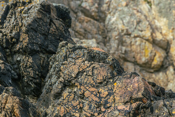 Rock surfaces in close-up photography, background for graphic designers, full of colors and details, Ireland